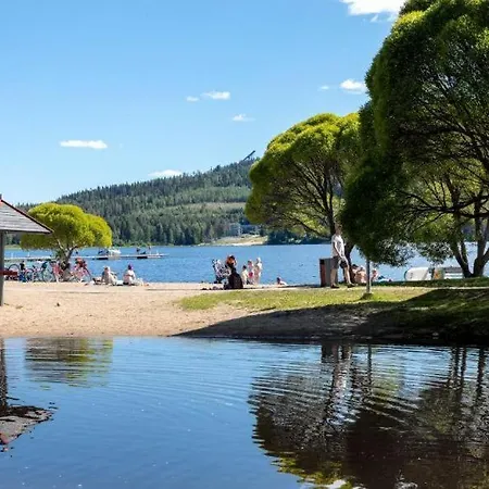 Hopea Villa, Vuokatin Ytimessae Sisaeltyy Sauna, Ilmainen Pysaekoeinti, Wi-fi, 55smarttv, Omapiha, Sopii Perheille